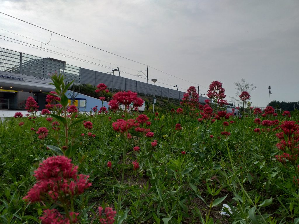 Geluidsscherm station Holendrecht